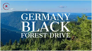 Euro Trip - EP 3 | Germany 🇩🇪 Black Forest Drive | Germany 🇩🇪 Scenic Road | 4K Bengali Vlog