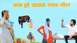 छाछ हुई हजार रुपया लीटर | New Mewati Comedy Video | Haryana ke nawab | Hakku Singariya