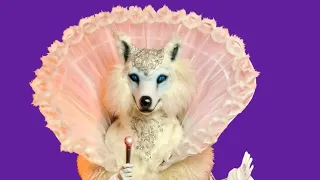 Snow Fox sings "Goodbye Yellow Brick Road" by Elton John | TMS AU S5 | TMK