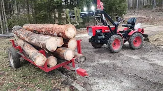 small orvex , tz4k14 , loading pine trees, working in the forest,