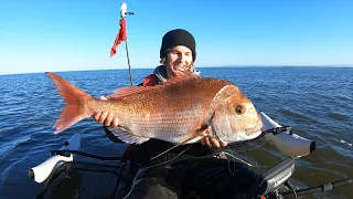 Kayak Fishing for GIANT Snapper!! (New PB)