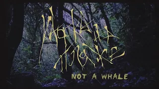 not a whale - Кафка На Пляже (Official Music Video)