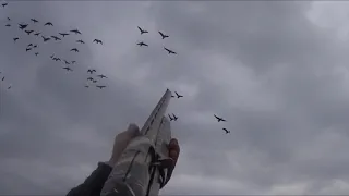 Охота на гуся.  Нарезка выстрелов 2022