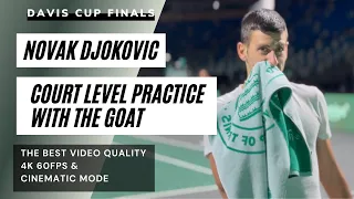 The Best Novak Djokovic Practice Video (Highest quality | Davis Cup Finals 2023 | The GOAT)