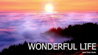 Wonderful Life [Emotional Epic Cinematic / Beautiful Documentary Inspiring] - (Royalty Free Music)