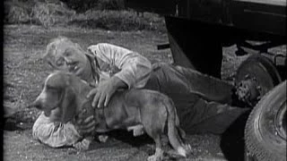 Lassie - Episode 45 - "Pokey" - Season 2, #19  (01/15/1956)
