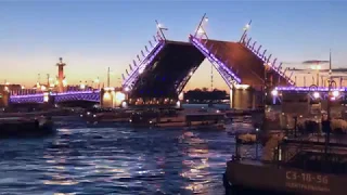 Opening of the Saint Petersburg Palace Bridge during white nights