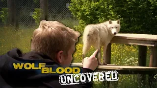 Face to Face | Wolfblood Uncovered