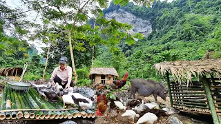 Make a bamboo water floor, cook food for pigs. XH  building new life.  (Episode 22)