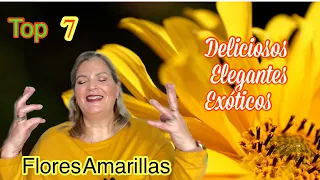 Perfumes de Flores Amarillas Intoxicantes / Lo Mejor de mi colección