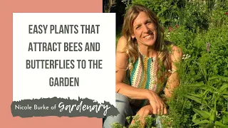 Easy Plants That Attract Bees and Butterflies to the Garden