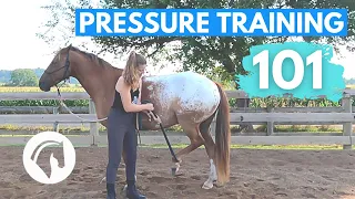How to Teach Your Horse to Yield to Pressure