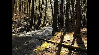 Riding Michaux State Forest in PA is a hidden gem