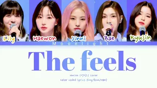 NMIXX (엔믹스) THE FEELS (Original by TWICE) Color Coded Lyrics (Eng/Han/Rom)