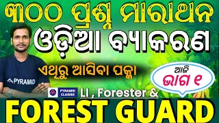 Forest guard odia class | odia Grammar Marathon class | OSSSC Grammar Question | Pyramid Classes