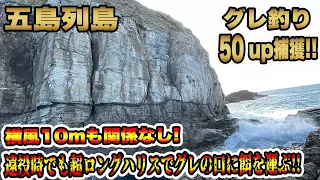 【五島列島】グレ釣り 新商品マルキューM.S.Pを使ったみたら驚愕の結果に...#グレ釣り #フカセ釣り #磯釣り #グレ #寒グレ