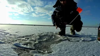 Первый лёд , рыбалка на жерлицы. Первый лёд 2018-2019.