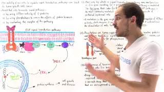 Cancer and Termination of Signal Pathways