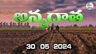 అన్నదాత | 30th May 2024 | Annadata | Full Bulletin | ETV Andhra Pradesh