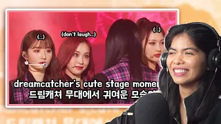 dreamcatcher's cute stage moments / 드림캐쳐 무대에서 귀여운 모습이 [reaction]