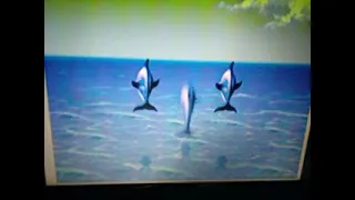 Ecco the Dolphin: The Tides of Time INTRO (Sega Genesis)