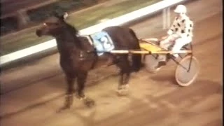 Harness Racing,Harold Park-06/04/1979 Miracle Mile (The Scotsman-G.Sparkes)