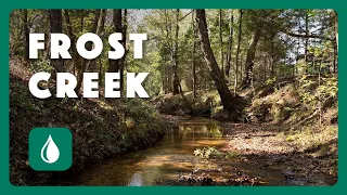 Frost Creek - Postcard From Texas