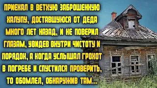 Приехал в заброшенную халупу и услышал шум в подвале, а когда спустился проверить, то обомлел