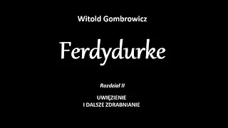 Ferdydurke  - rozdział 2