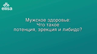 Что такое потенция, эрекция и либидо?