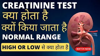 Creatinine level normal range | creatinine test in hindi | creatinine levels high