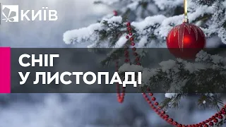 Перший сніг цього року випаде в кількох областях України ще осінню