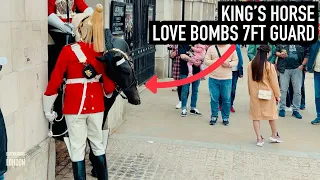 HORSE REALLY HAPPY TO SEE 7FT GUARD! ✨🐎💂| Horse Guards, Royal guard, Kings Guard, Horse, London