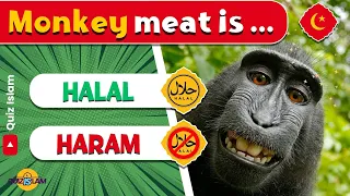 Halal and haram animal meat quiz | Quiz islam (❌No Music)