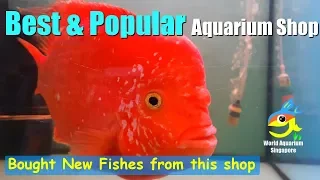 Best & Most Popular Longest Running Aquarium Shop K&K Aquarium & Bird Centre