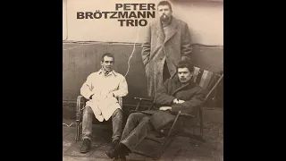 Peter Brötzmann Trio - Usable Past