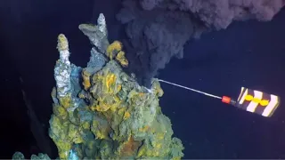 Massive expanse of towering hydrothermal vents discovered deep in the Pacific