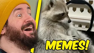 UNUSUAL MEMES COMPILATION V162 I Sturmwaffel REAGIERT