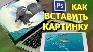 Как вставить картинку в картинку в фотошопе