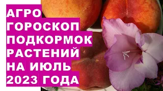 Агрогороскоп подкормок растений на июль 2023 года. Агрогороскоп підживлення рослин на липень 2023