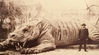 Últimas Fotos de Animales Extintos Gigantes