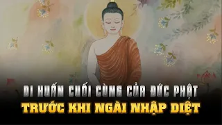 DI HUẤN CUỐI CÙNG của ĐỨC PHẬT trước khi NGÀI NHẬP DIỆT - Sự Tồn Vong của Đạo Phật