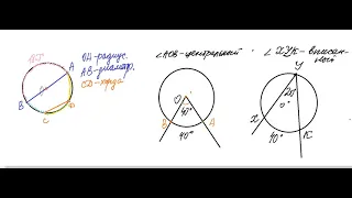 Центральный и вписанный угол в окружности. Урок 1 геометрия 8 класс