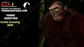 Yowie / Bigfoot Sighting (Audio Report #141) at Coutts Crossing, New South Wales