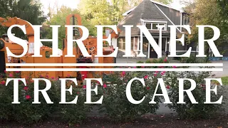 Shreiner Tree Care - Chipping