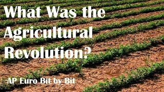 What Was the Agricultural Revolution? AP Euro Bit by Bit #23