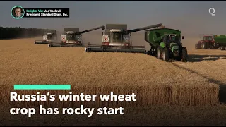 Russia’s Winter Wheat Planting Gets a Slow Start