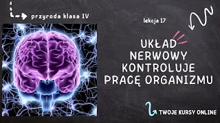 Przyroda klasa 4 [Lekcja 17 - Układ nerwowy kontroluje pracę organizmu]