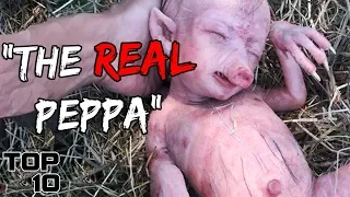 Top 10 Scary Times Peppa Pig Ruined Your Childhood - Part 2