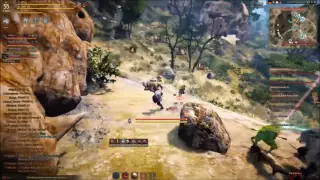 [Black Desert] Laughing Coffin vs Focus/Fire